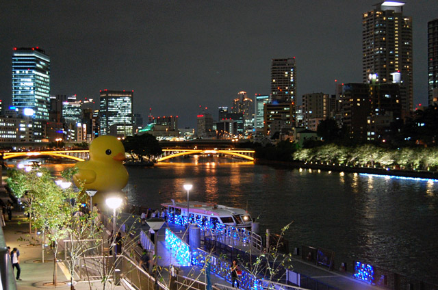 水都大阪2009 八軒家浜の巨大アヒル 写真一覧