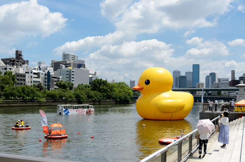 ラバーダック2020@大阪・八軒屋浜 写真一覧