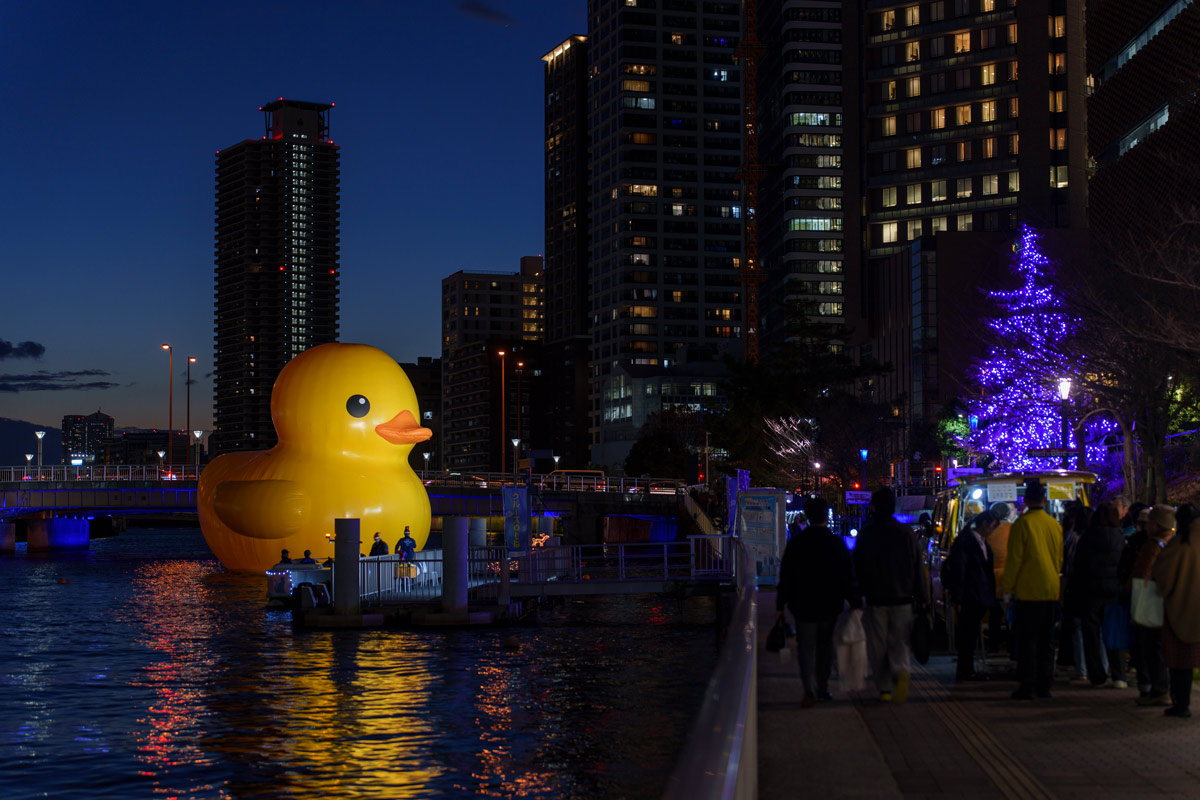 ラバーダック　おまとめ Lilalu Duck ｜親子 | はちみせ （83）