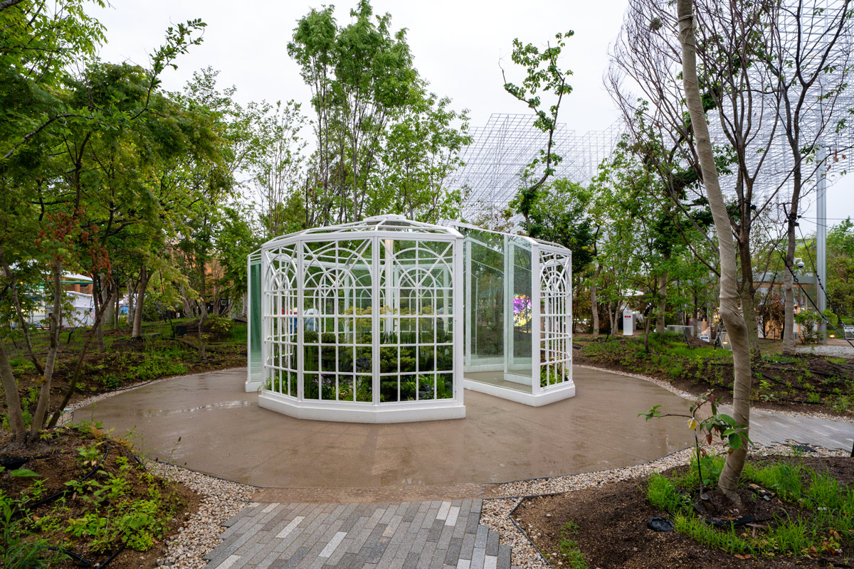 静けさの森 写真一覧 | EXPO2025大阪・関西万博